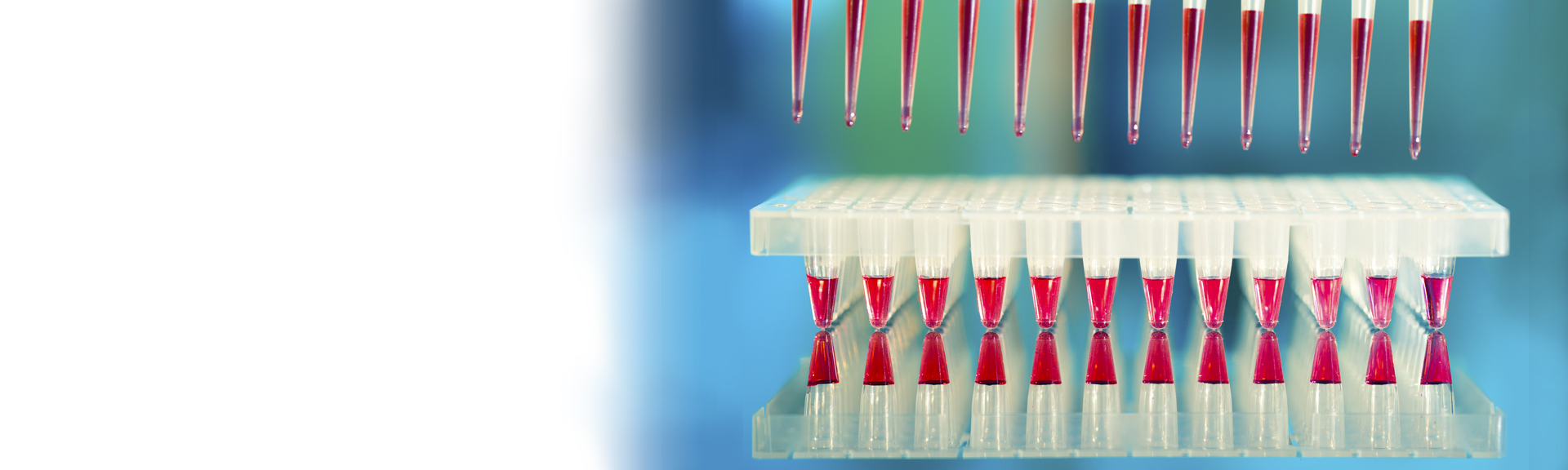 High-throughput screening/ High-content screening